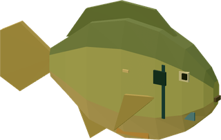 Bluegill
