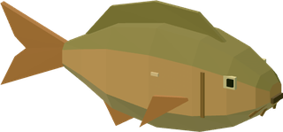 Golden carp