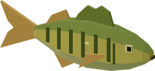 Amber perch